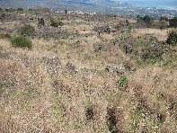 iara Scorciavacca-20110306 033